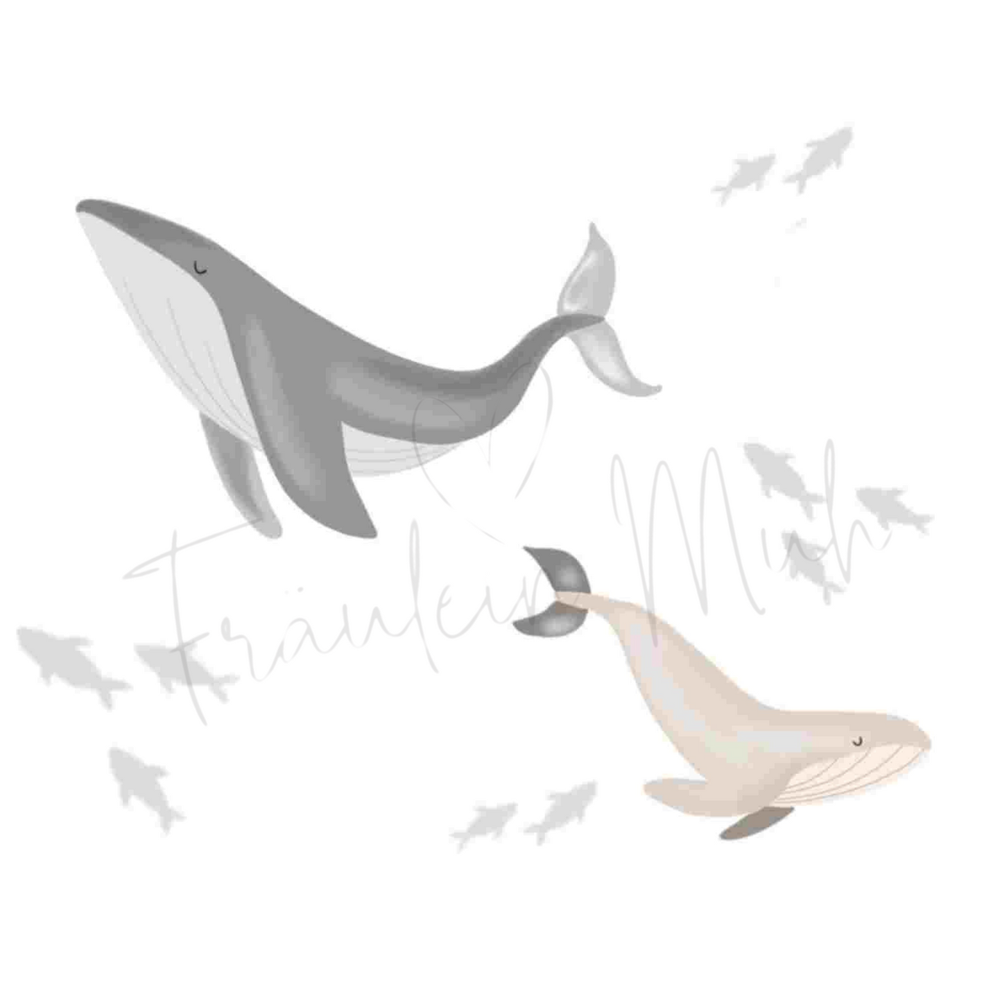 Digitale Datei Wale- Download für Supplimationsdrucker