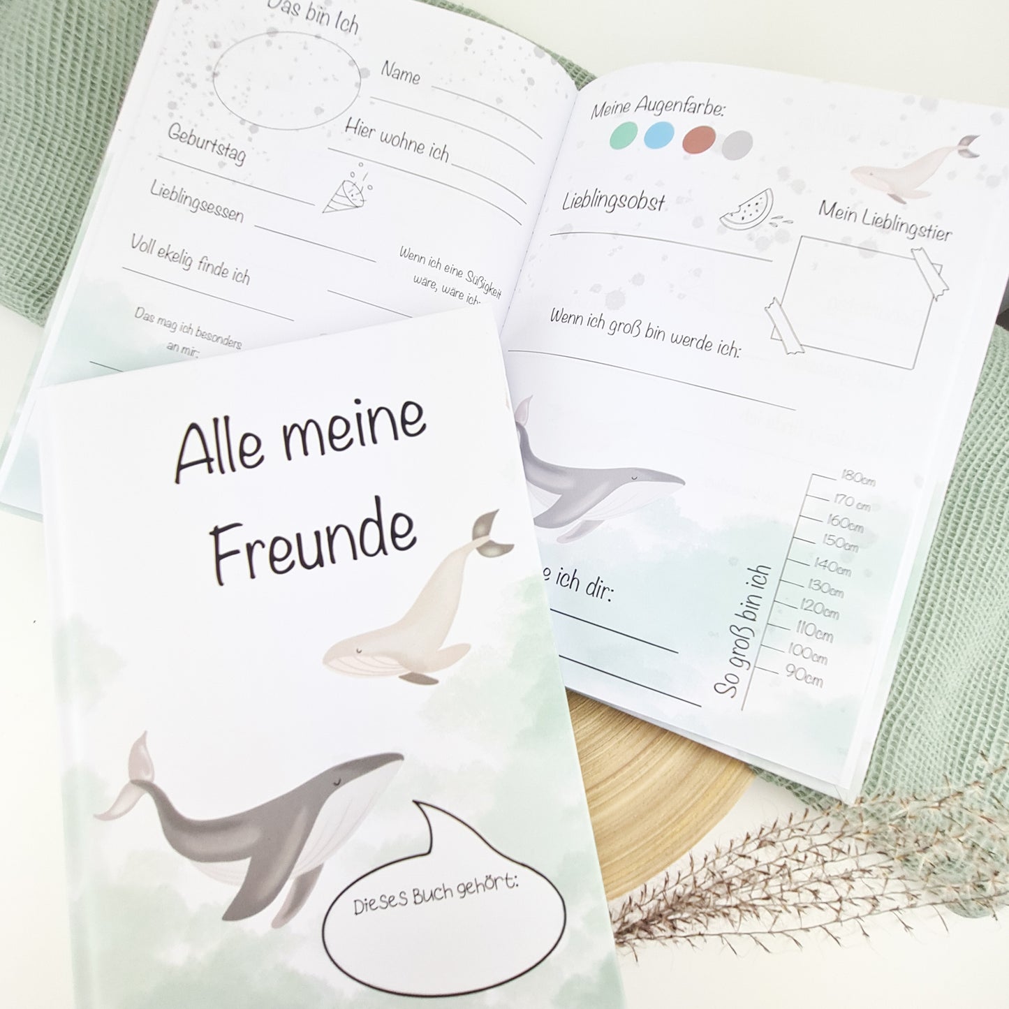 Freundebuch für Kinder Wale Fräulein Muh Kollektion